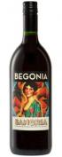 Begonia - Sangria 0